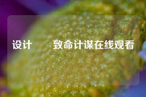 设计설계致命计谋在线观看
