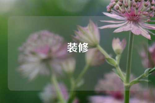 装修