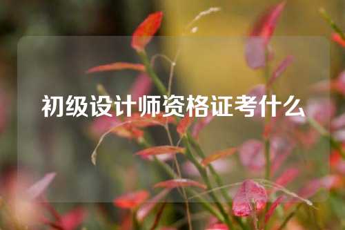 初级设计师资格证考什么