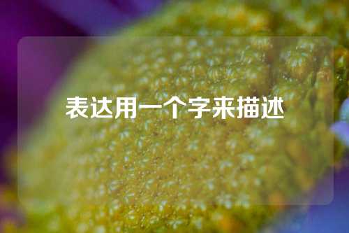 表达用一个字来描述