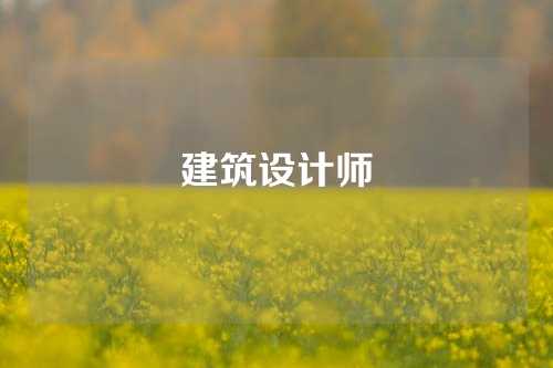 建筑设计师