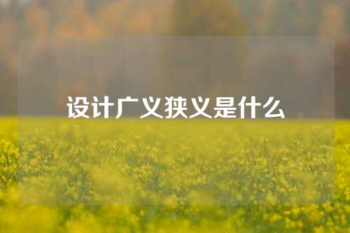 设计广义狭义是什么