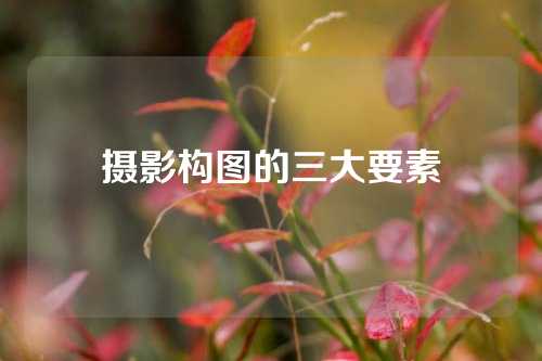 摄影构图的三大要素