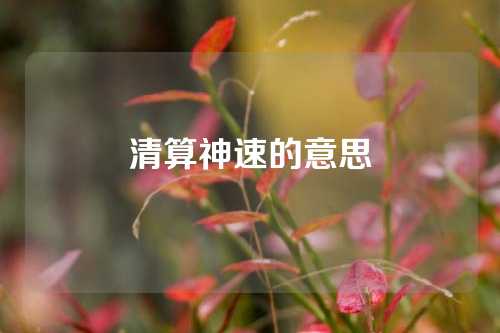 清算神速的意思