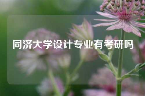 同济大学设计专业有考研吗