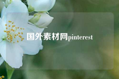 国外素材网pinterest