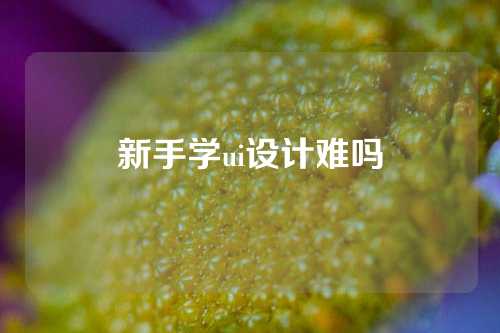 新手学ui设计难吗
