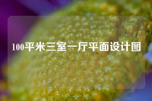 100平米三室一厅平面设计图
