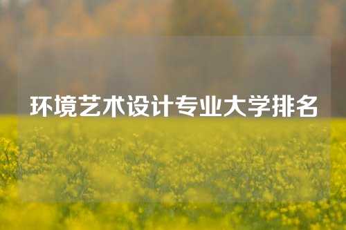 环境艺术设计专业大学排名