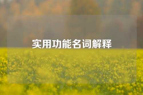 实用功能名词解释