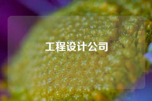 工程设计公司