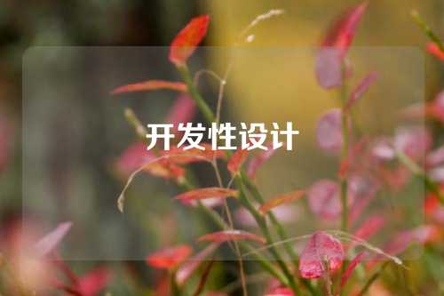 开发性设计