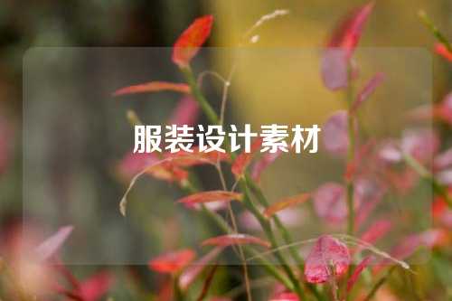 服装设计素材
