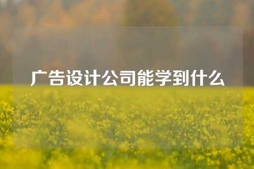 广告设计公司能学到什么