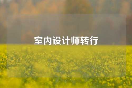 室内设计师转行