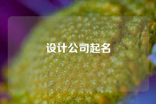 设计公司起名