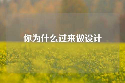 你为什么过来做设计
