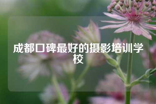 成都口碑最好的摄影培训学校