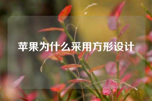 苹果为什么采用方形设计