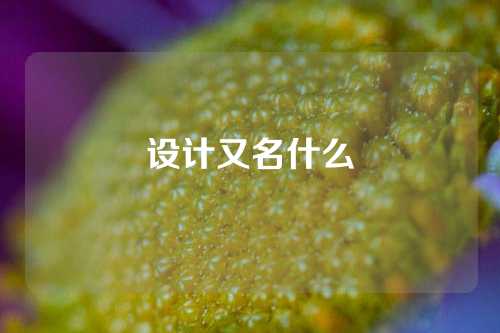 设计又名什么