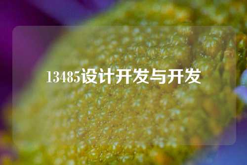 13485设计开发与开发