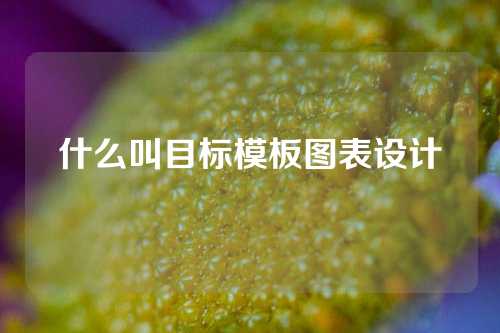 什么叫目标模板图表设计