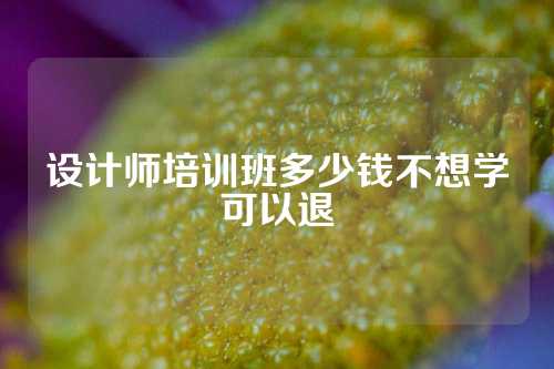 设计师培训班多少钱不想学可以退