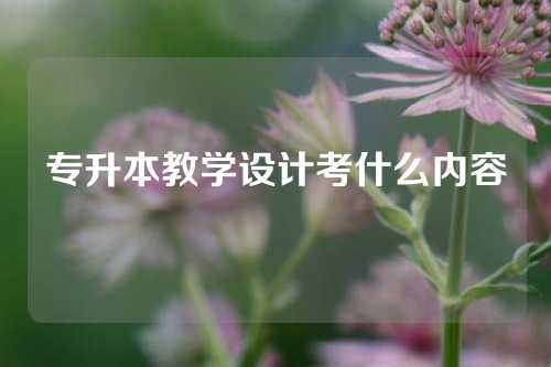 专升本教学设计考什么内容