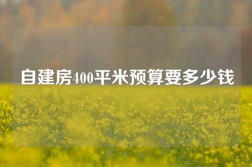 自建房400平米预算要多少钱
