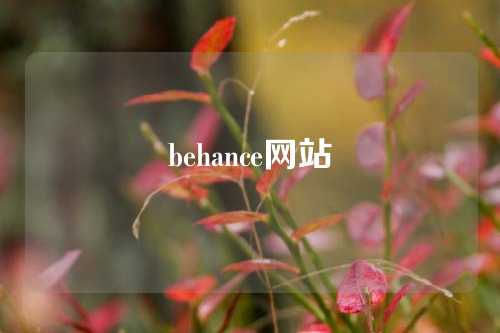 behance网站