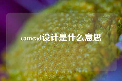 camcad设计是什么意思