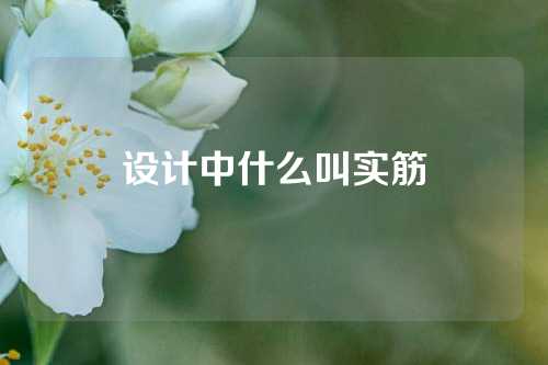 设计中什么叫实筋
