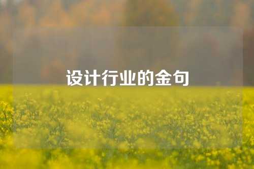 设计行业的金句
