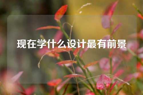 现在学什么设计最有前景