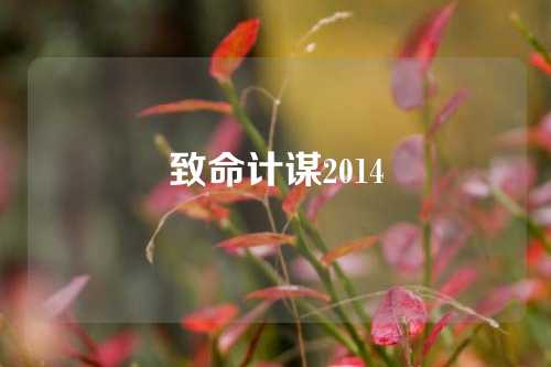 致命计谋2014