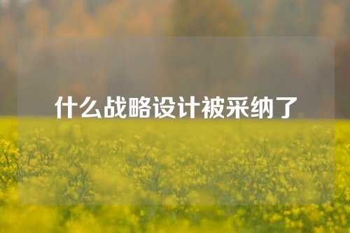 什么战略设计被采纳了