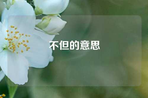 不但的意思