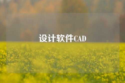 设计软件CAD