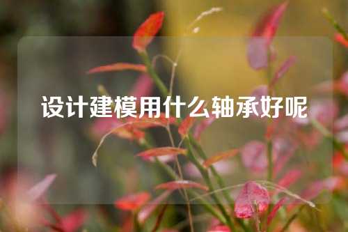 设计建模用什么轴承好呢