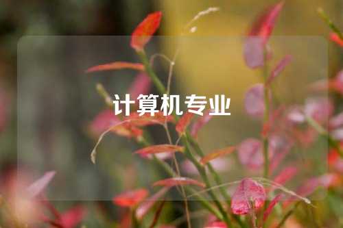计算机专业