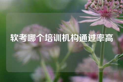 软考哪个培训机构通过率高