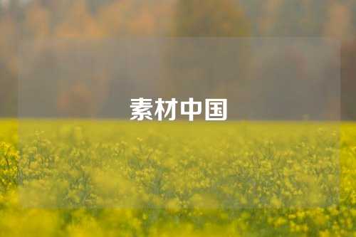 素材中国