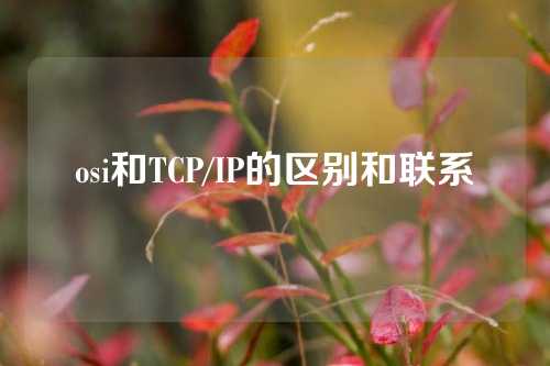 osi和TCP/IP的区别和联系