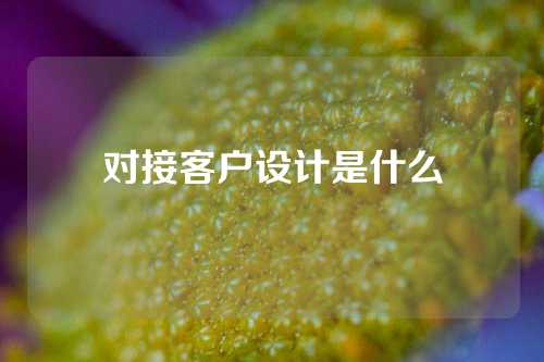 对接客户设计是什么