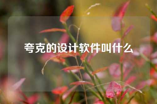 夸克的设计软件叫什么