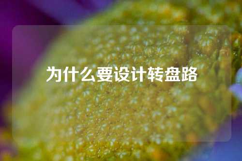 为什么要设计转盘路