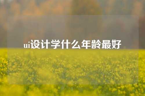 ui设计学什么年龄最好
