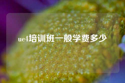 ue4培训班一般学费多少