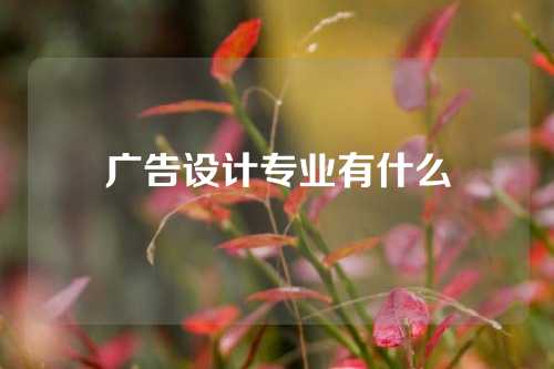 广告设计专业有什么