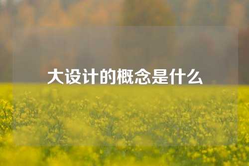 大设计的概念是什么